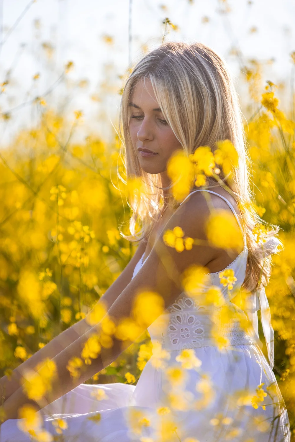 A professional photograph from our gallery