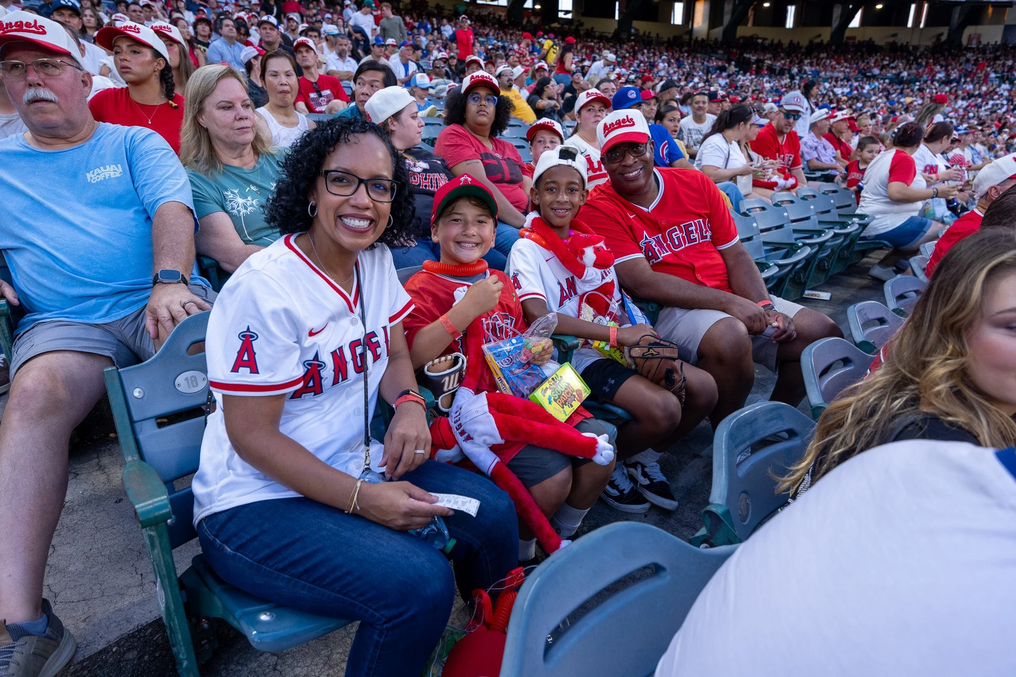 A professional photograph from our gallery