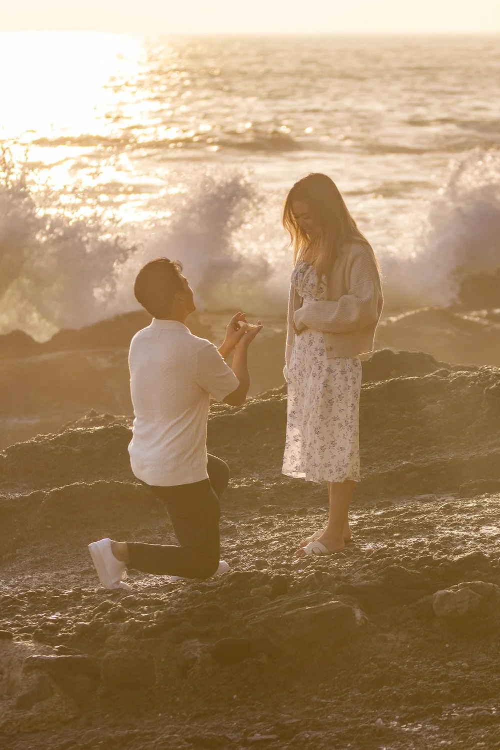 A professional photograph from our gallery